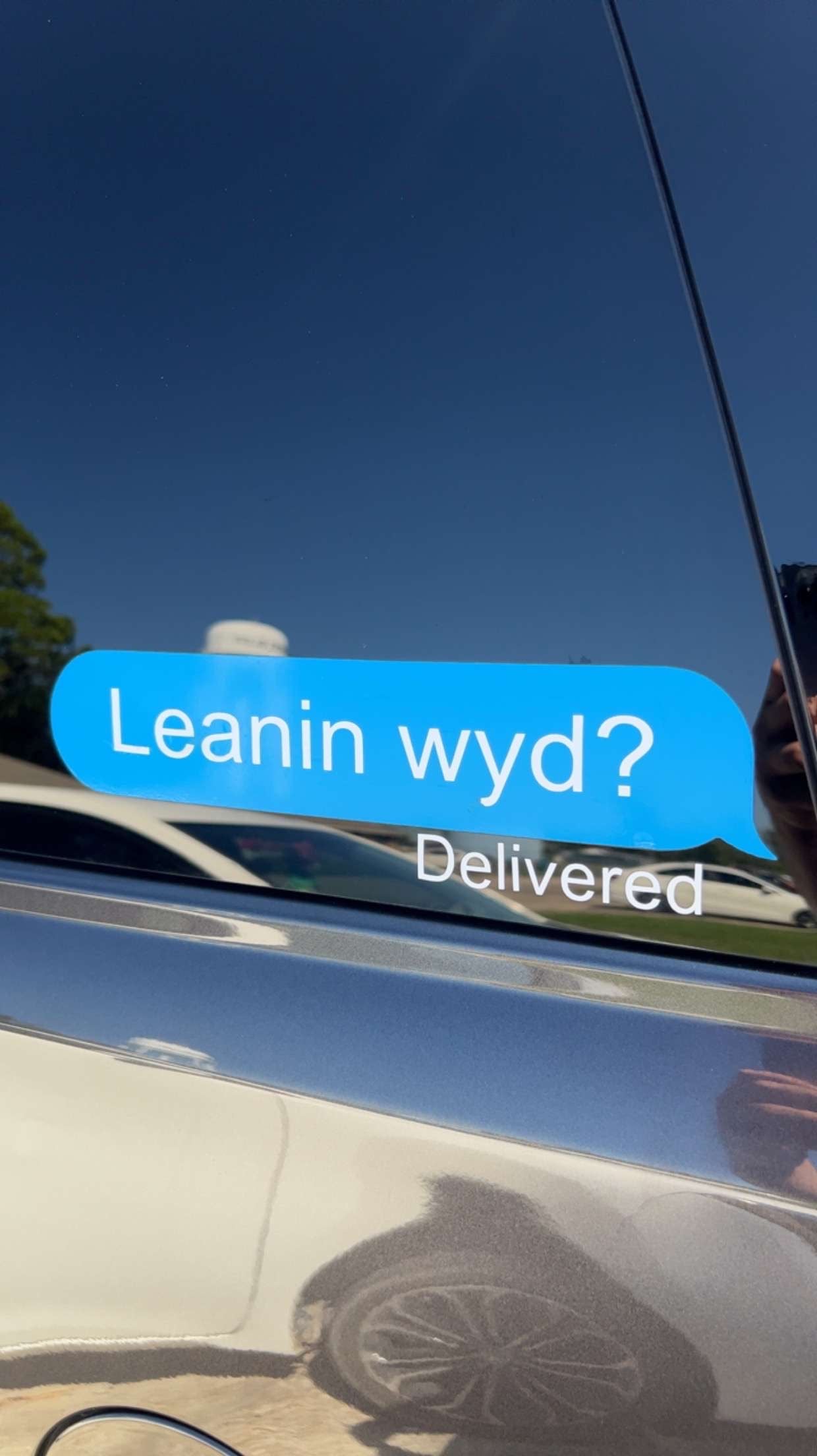 Leanin wyd? Decal